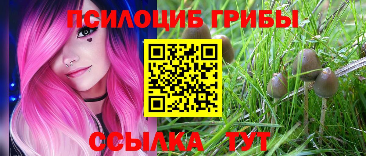 Псилоцибиновые грибы прущие грибы Коломна